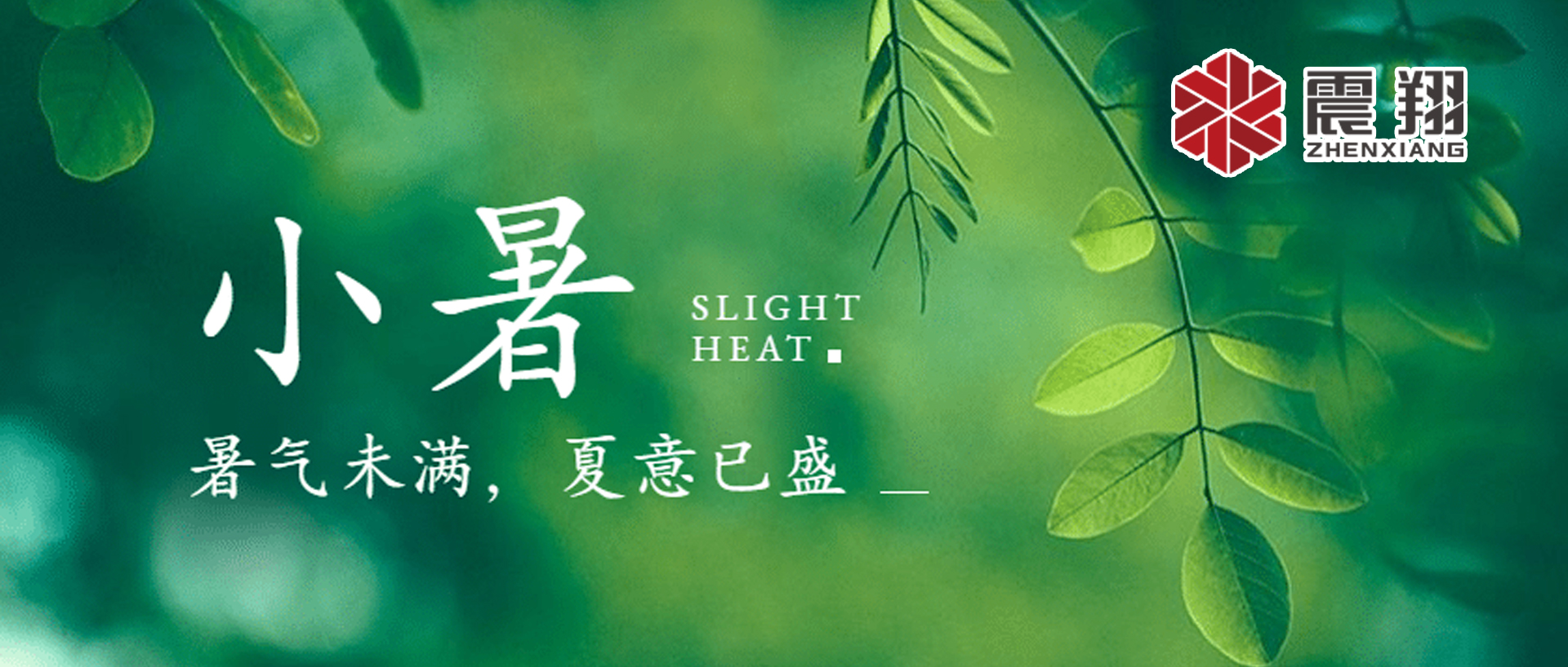 小暑| 標志著夏季的正式開始，也是一年中最熱的時候之一