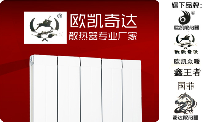 天津市歐凱奇達散熱器有限公司